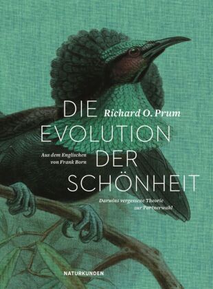 Die Evolution der Schönheit