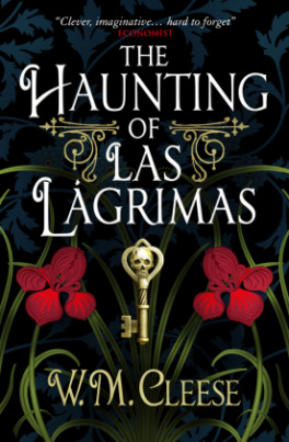 The Haunting of Las Lágrimas