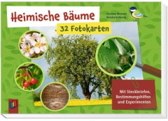 Heimische Bäume - 32 Fotokarten