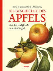 Die Geschichte des Apfels