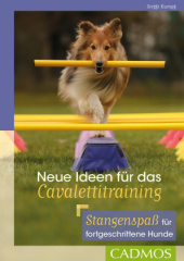 Neue Ideen für das Cavalettitraining