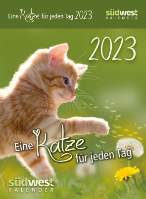 Eine Katze für jeden Tag - Kalender 2023
