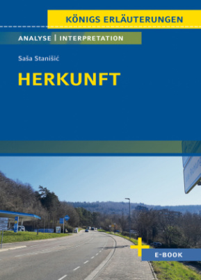 Herkunft von Sasa  Stanisic