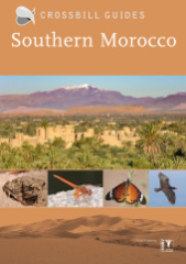 Southern Morocco