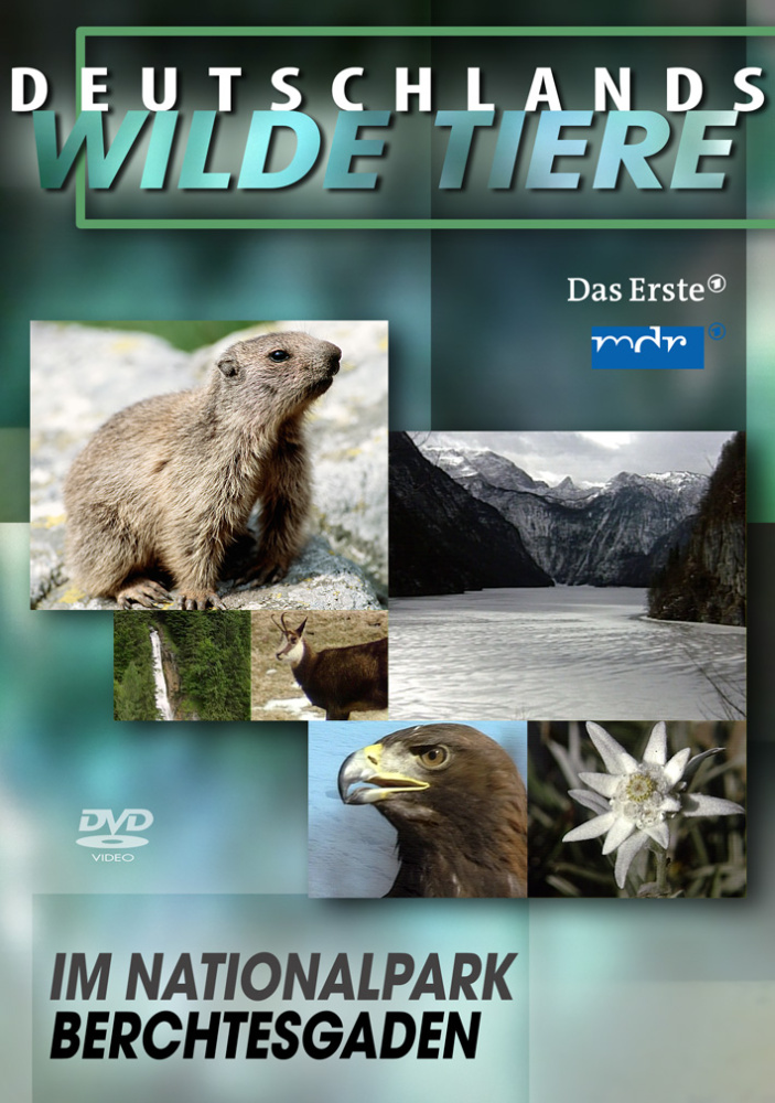  Deutschlands wilde Tiere - Im Nationalpark Berchtesgaden 