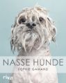 Nasse Hunde