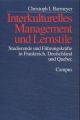 Interkulturelles Management und Lernstile