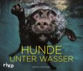 Hunde unter Wasser