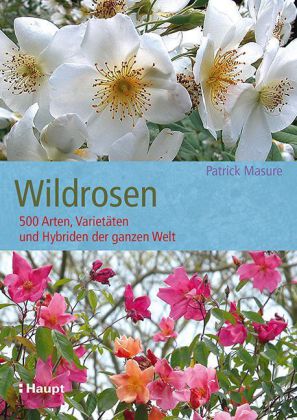 Wildrosen