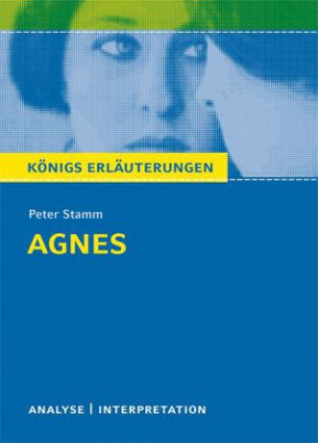 Peter Stamm 'Agnes'