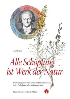 Alle Schöpfung ist Werk der Natur