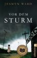 Vor dem Sturm